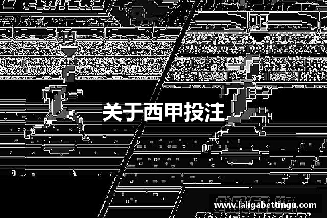 关于西甲投注